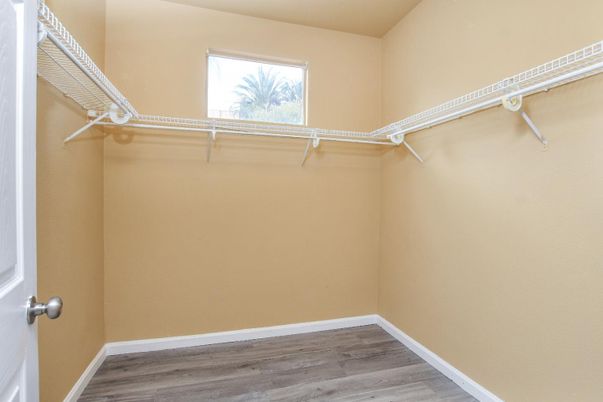 Interior, Walk-in Closets, Wood Texture Flooring