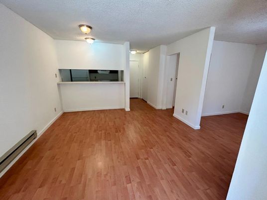 Empty room, Interior, Kitchen, Wood Texture Flooring