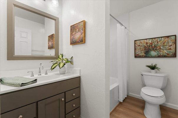 Bathroom, Interior, Wood Texture Flooring