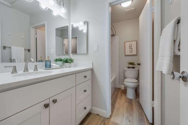 Bathroom, Dual Sink Vanities, Interior, Wood Texture Flooring