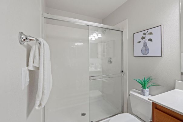 Bathroom, Glass Shower, Interior