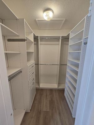 Interior, Walk-in Closets, Wood Texture Flooring
