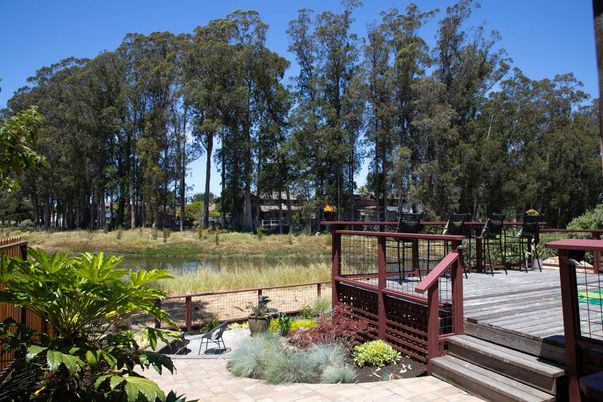Backyard, Exterior, Water