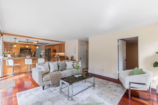 Interior, Kitchen, Living room, Pendant Lights, Stainless Steel Appliances, Wood Texture Flooring