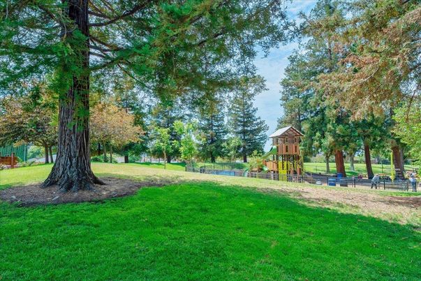 Backyard, Exterior, Playground