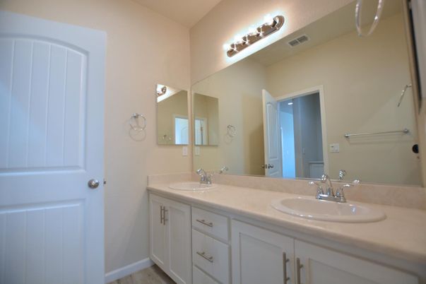 Bathroom, Dual Sink Vanities, Interior, Wood Texture Flooring