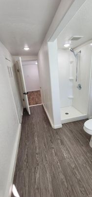 Bathroom, Interior, Recessed Lighting, Wood Texture Flooring