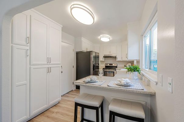 Interior, Kitchen, Stainless Steel Appliances, Wood Texture Flooring