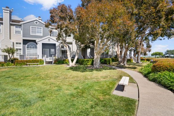 Backyard, Exterior, Facade, Queen Anne Victorian
