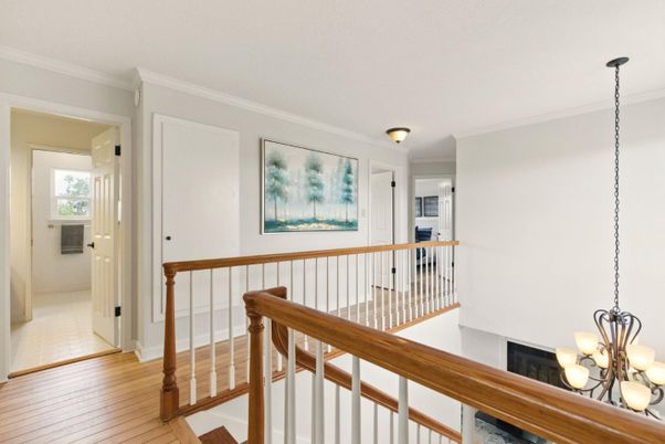 Chandelier, Interior, Wood Texture Flooring