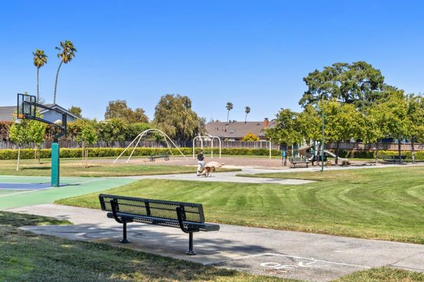 Backyard, Exterior, Playground