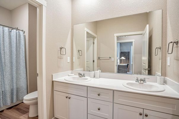 Bathroom, Dual Sink Vanities, Interior, Wood Texture Flooring