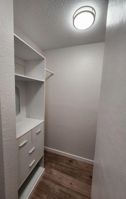 Interior, Walk-in Closets, Wood Texture Flooring