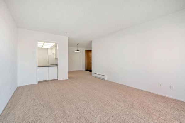 Empty room, Interior, Pendant Lights