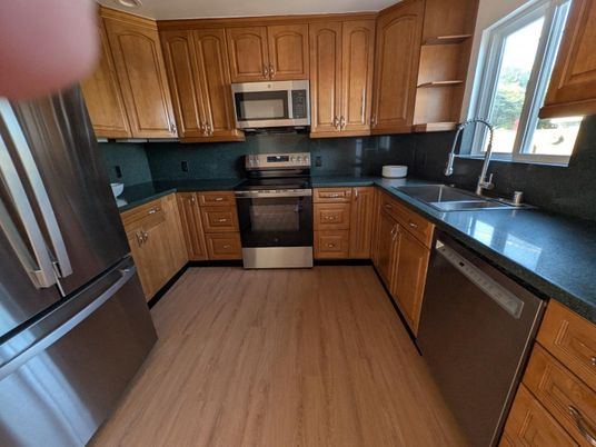 Interior, Kitchen, Stainless Steel Appliances, Wood Texture Flooring