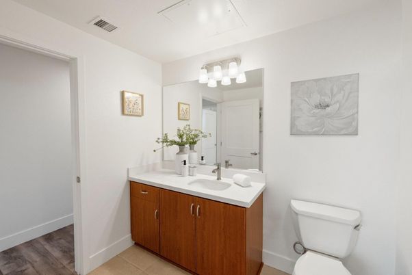 Bathroom, Interior, Wood Texture Flooring