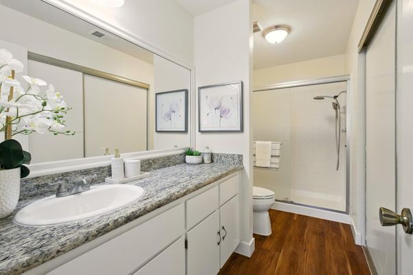 Bathroom, Glass Shower, Interior, Wood Texture Flooring
