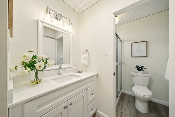 Bathroom, Interior, Wood Texture Flooring