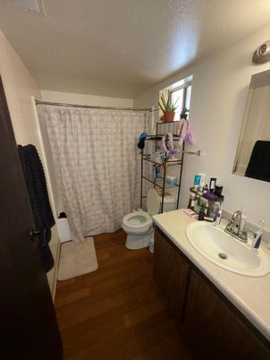 Bathroom, Interior, Wood Texture Flooring