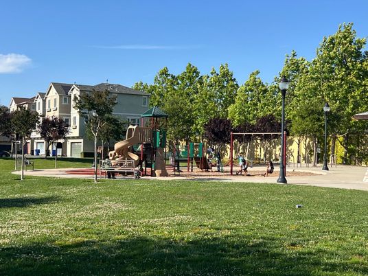 Backyard, Exterior, Playground
