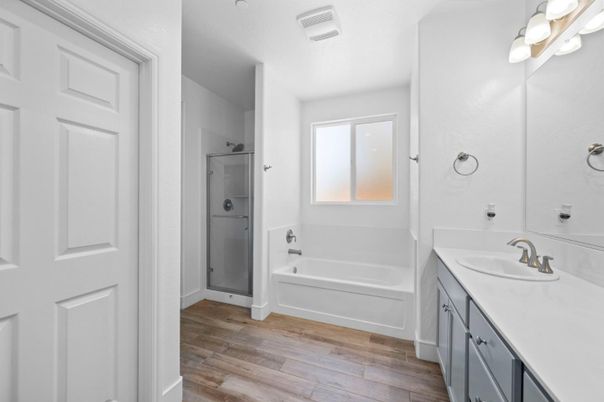 Bathroom, Interior, Wood Texture Flooring