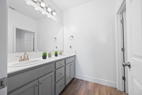 Bathroom, Dual Sink Vanities, Interior, Wood Texture Flooring