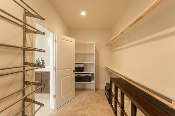 Interior, Recessed Lighting, Walk-in Closets