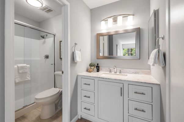 Bathroom, Glass Shower, Interior