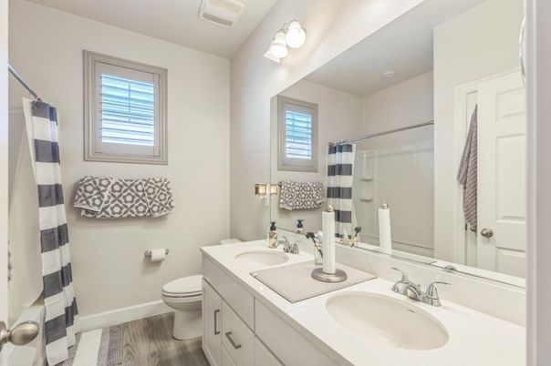 Bathroom, Dual Sink Vanities, Interior, Wood Texture Flooring