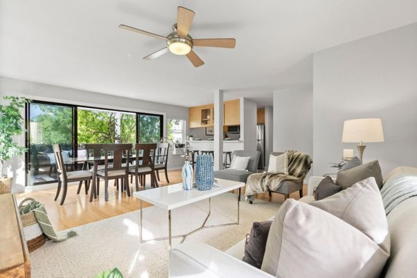Dining room, Interior, Living room, Wood Texture Flooring