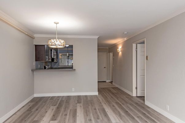 Empty room, Interior, Pendant Lights, Wood Texture Flooring