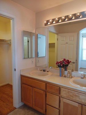 Bathroom, Dual Sink Vanities, Interior, Wood Texture Flooring