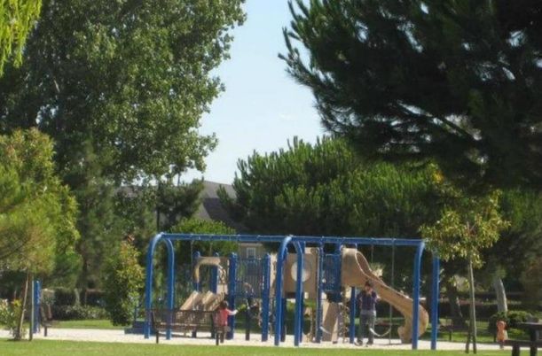 Backyard, Exterior, Playground