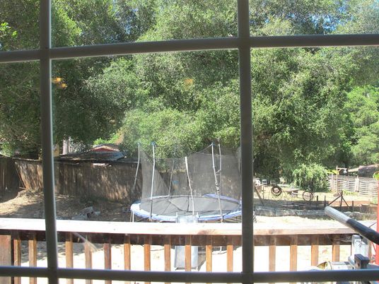 Backyard, Exterior, Playground