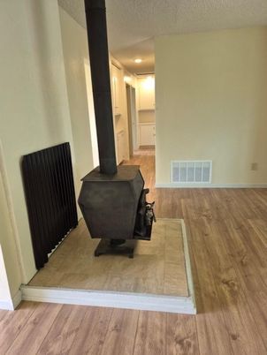Fireplace, Interior, Recessed Lighting, Wood Texture Flooring