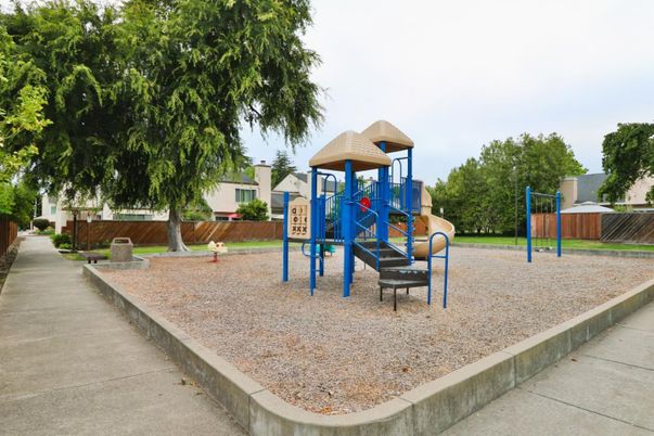 Backyard, Exterior, Playground