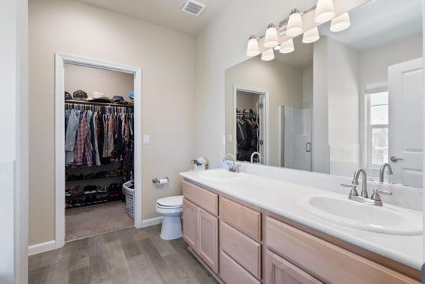 Bathroom, Dual Sink Vanities, Interior, Walk-in Closets, Wood Texture Flooring
