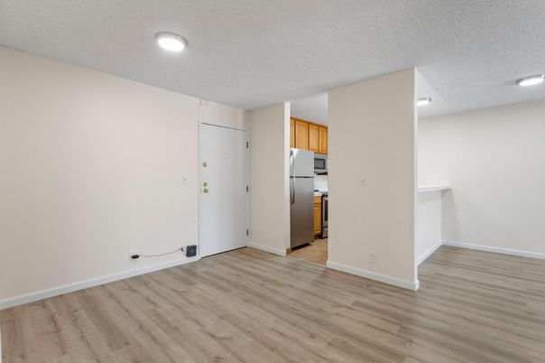 Empty room, Interior, Kitchen, Recessed Lighting, Wood Texture Flooring