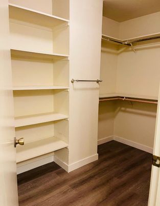 Interior, Walk-in Closets, Wood Texture Flooring
