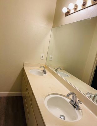 Bathroom, Dual Sink Vanities, Interior, Wood Texture Flooring