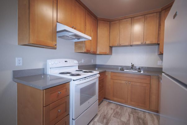 Interior, Kitchen, Wood Texture Flooring