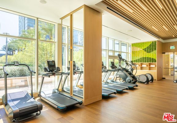 Fitness Equipment, Gym, Interior, Recessed Lighting, Wood Texture Flooring
