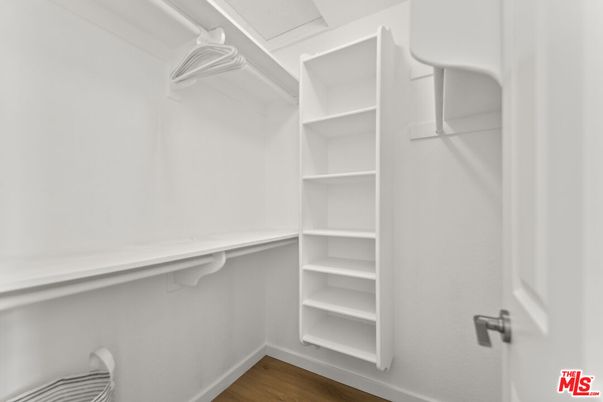 Interior, Walk-in Closets, Wood Texture Flooring