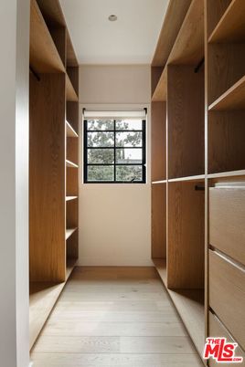 Interior, Recessed Lighting, Walk-in Closets, Wood Texture Flooring
