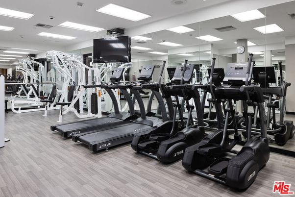 Fitness Equipment, Gym, Interior, Recessed Lighting, Wood Texture Flooring