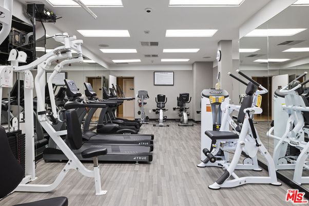Fitness Equipment, Gym, Interior, Recessed Lighting, Wood Texture Flooring