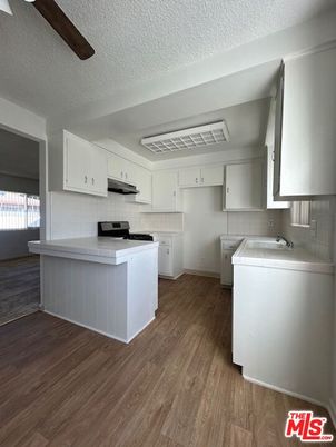 Interior, Kitchen, Washer, Wood Texture Flooring