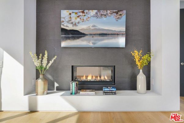 Fireplace, Interior, Wood Texture Flooring