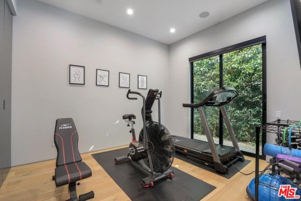 Fitness Equipment, Interior, Recessed Lighting, Wood Texture Flooring