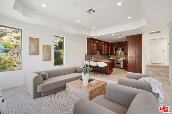 Interior, Kitchen, Living room, Recessed Lighting, Stainless Steel Appliances